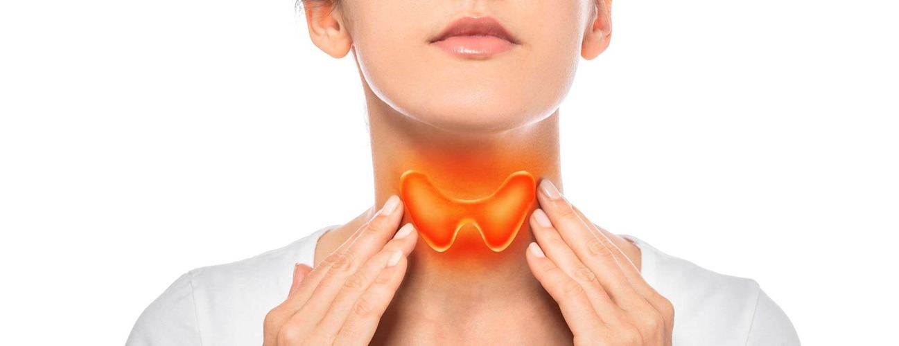 🧠 Endocrine & Thyroid Treatments